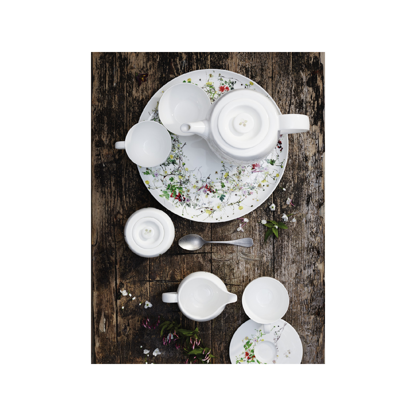 Sosjera Tajemniczy Ogród