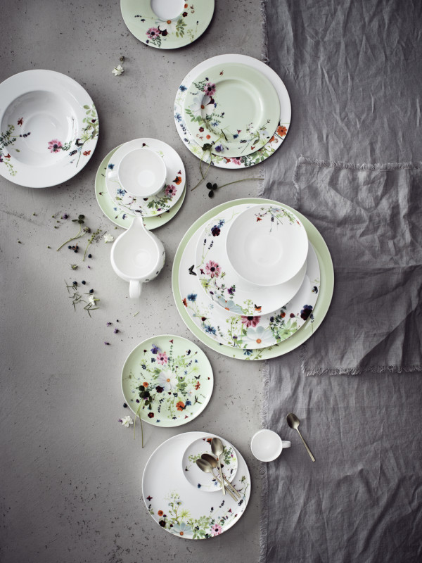 Mlecznik Wiosenny Ogród