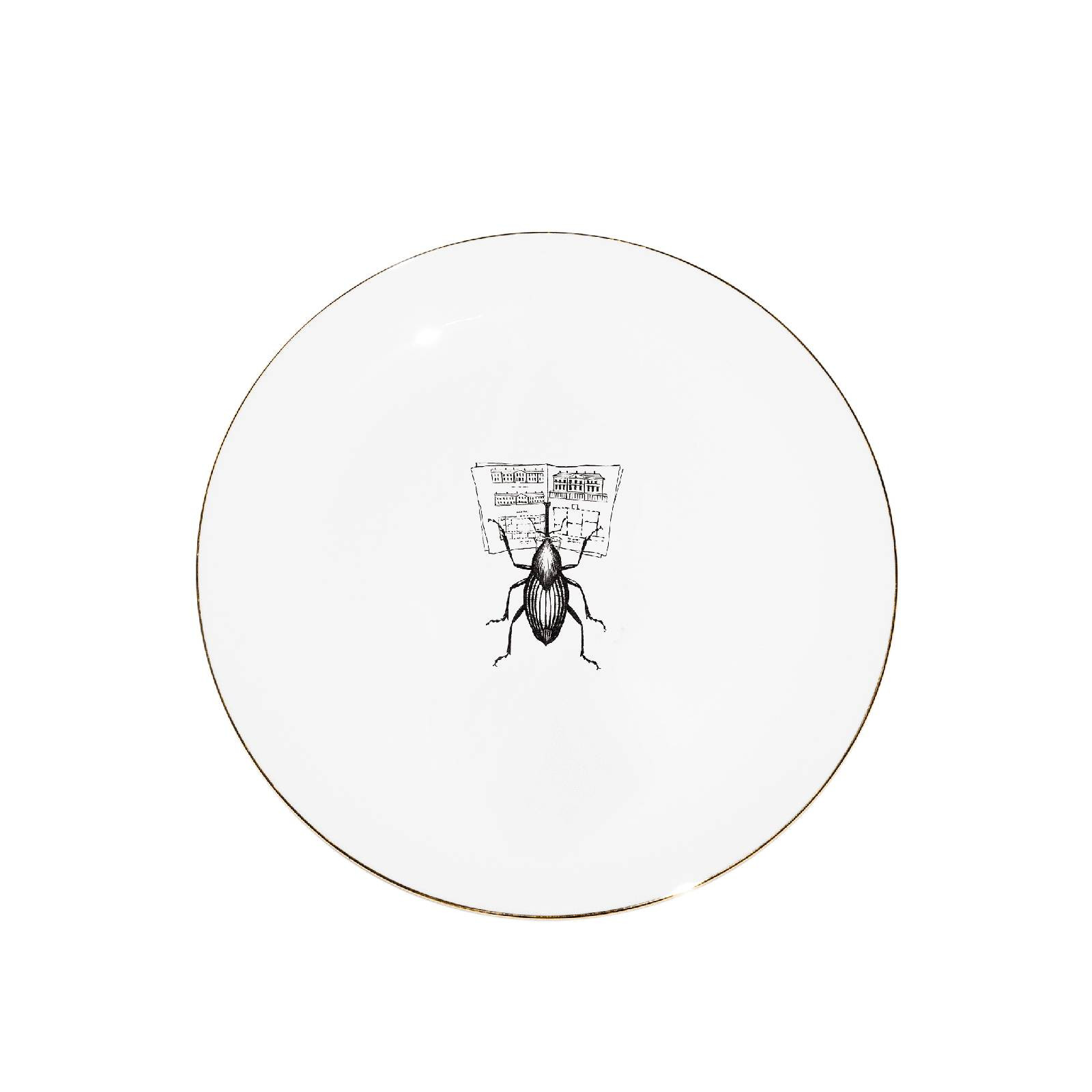 Talerz 16 cm Architect Bug