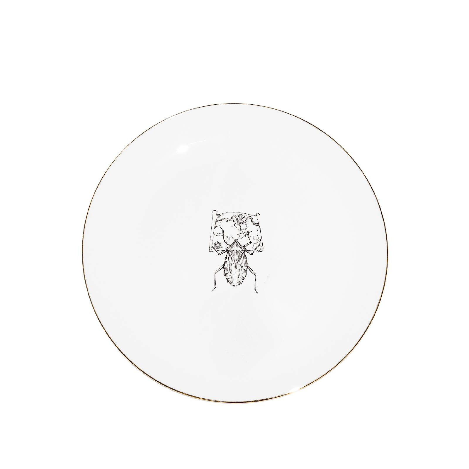 Talerz 16cm Map planning bug