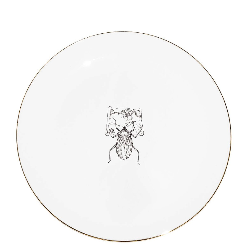 Talerz 16cm Map planning bug