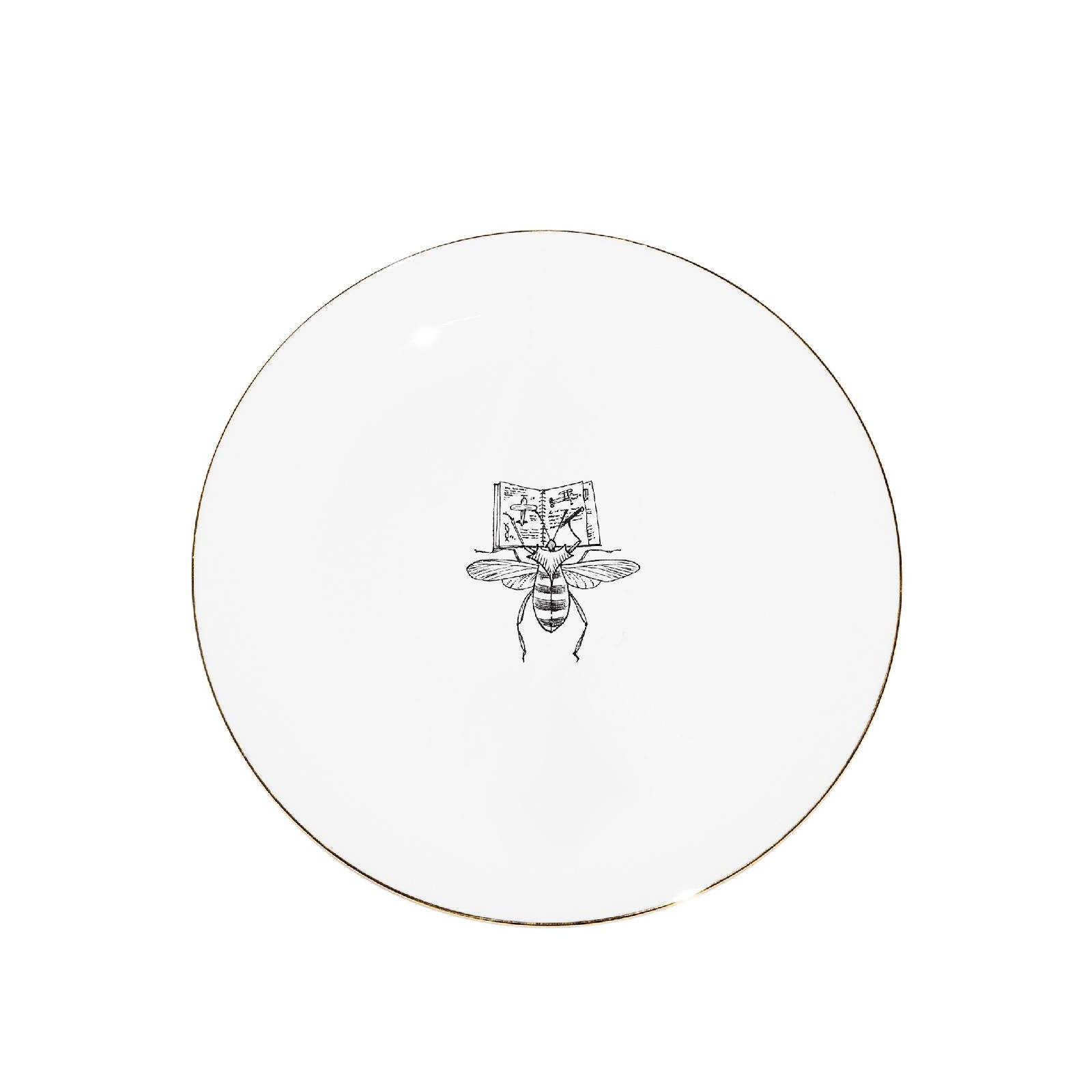 Talerz 16cm Plane bug