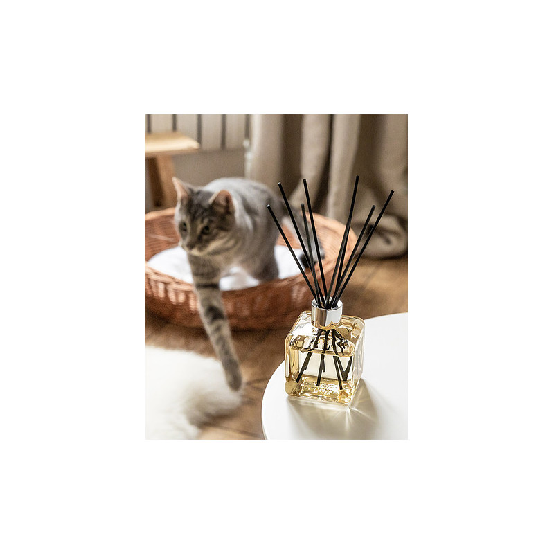 Zestaw Patyczki Kostka Maison Berger Paris