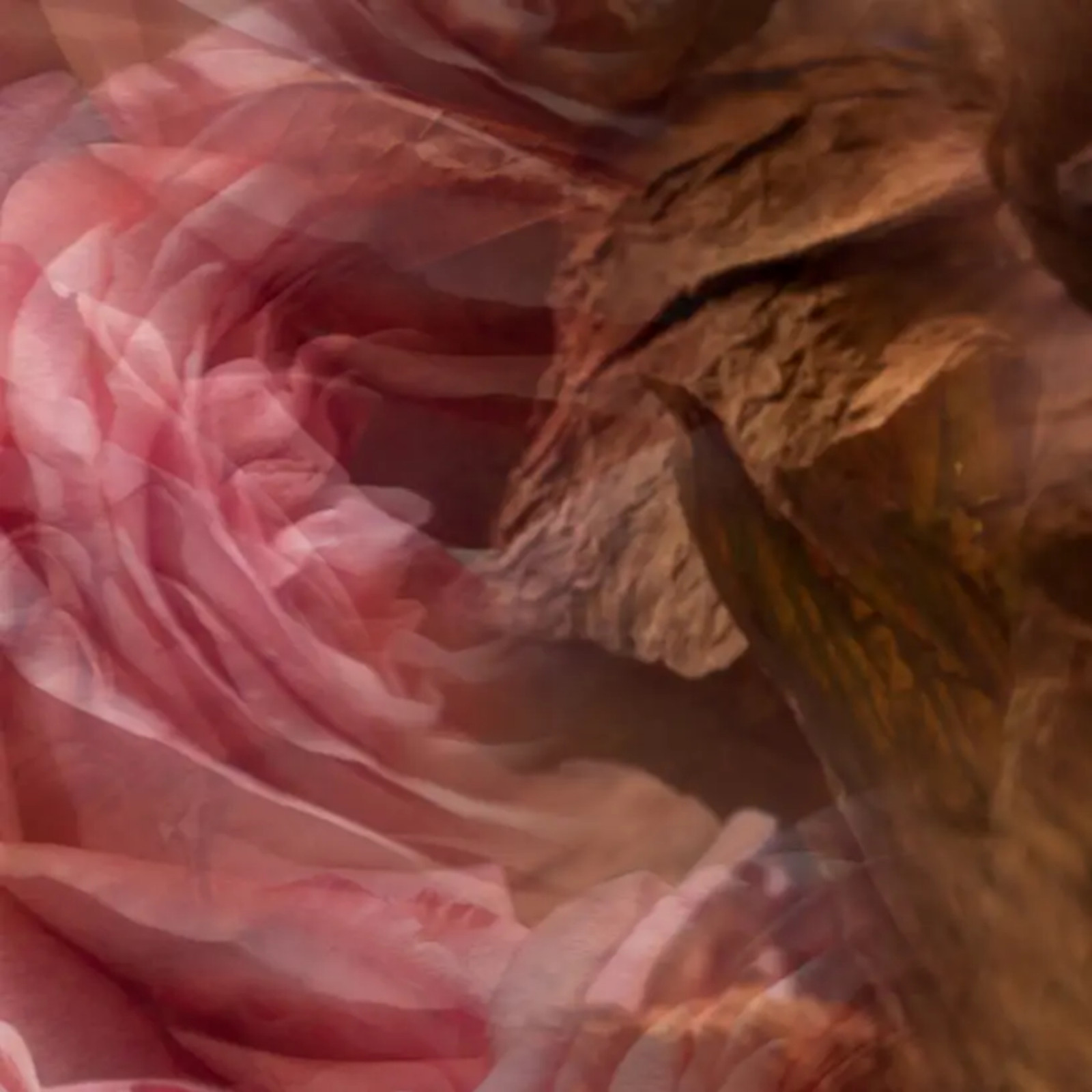 Dyfuzor zapachowy Rosa Tabacco 500 ml Dr.Vranjes