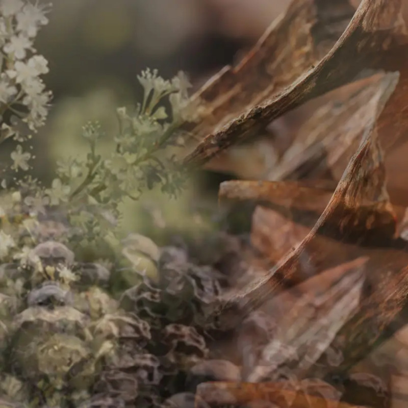 Dyfuzor zapachowy Milano 250 ml Dr.Vranjes