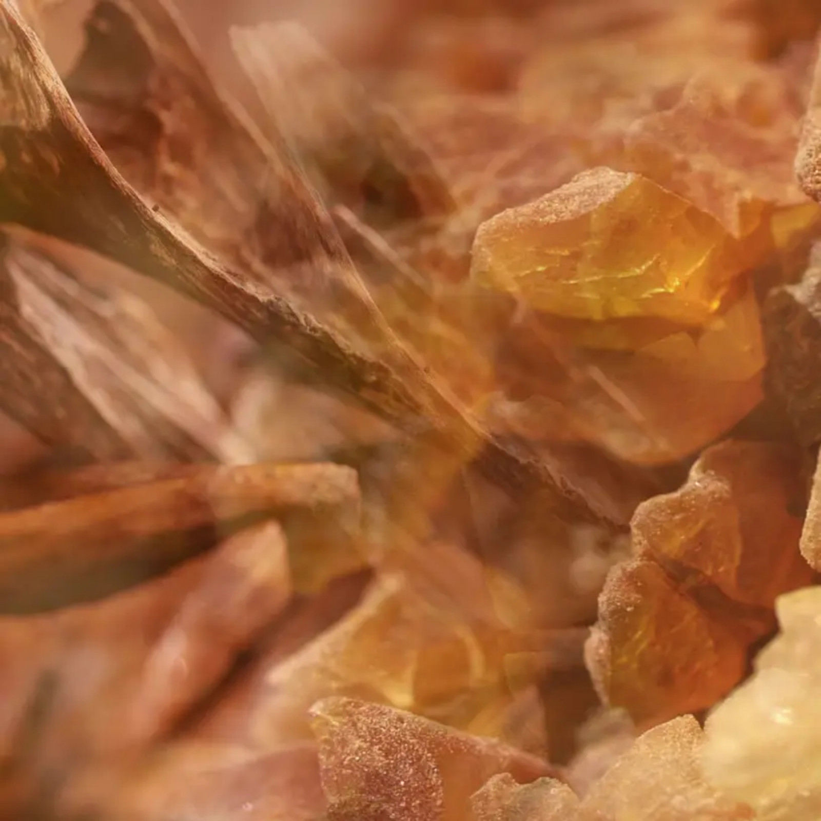 Dyfuzor zapachowy Ambra 250 ml Dr.Vranjes