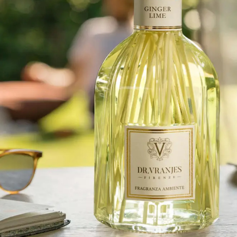 Dyfuzor zapachowy Imbir 1250 ml Dr.Vranjes