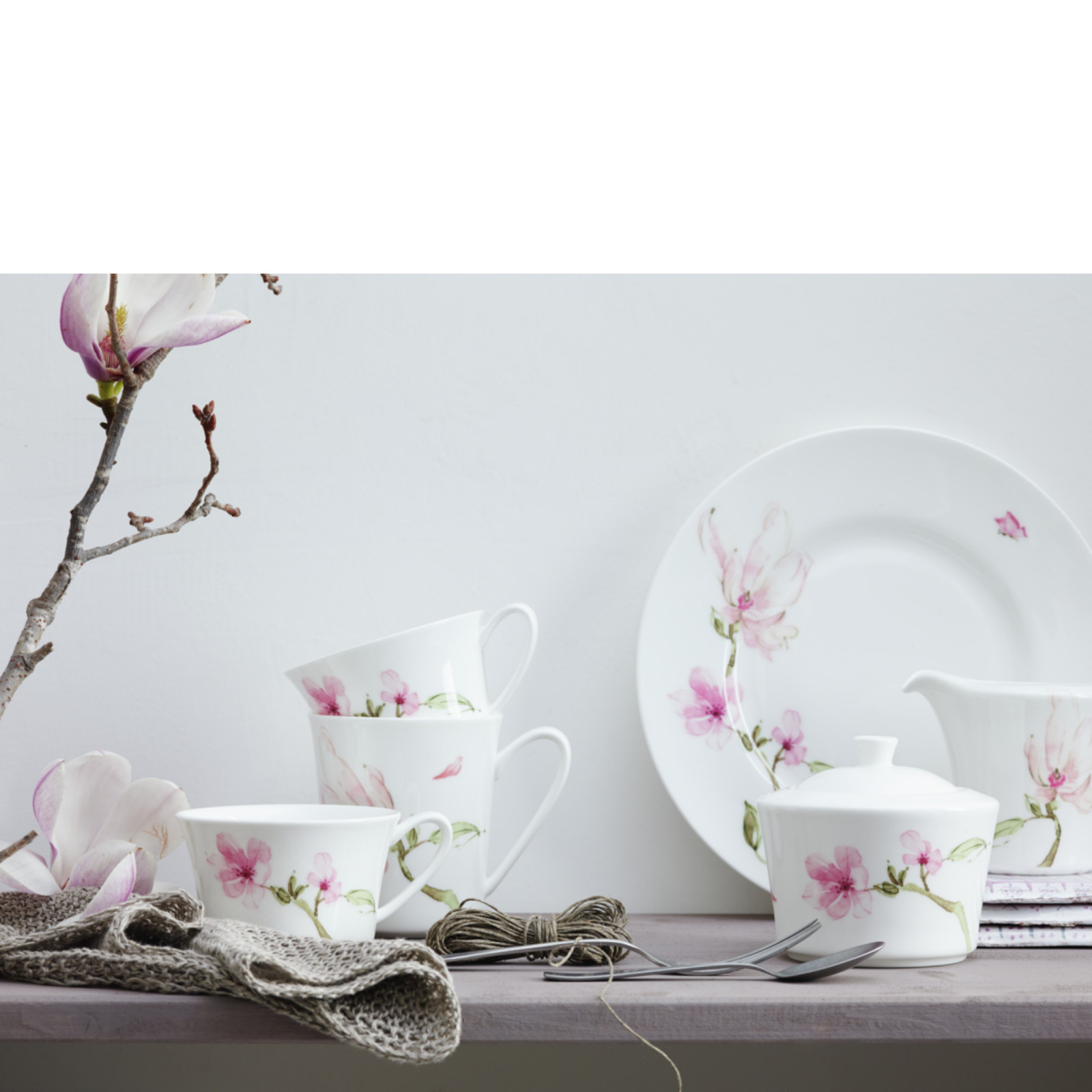 Mlecznik Jade Magnolia